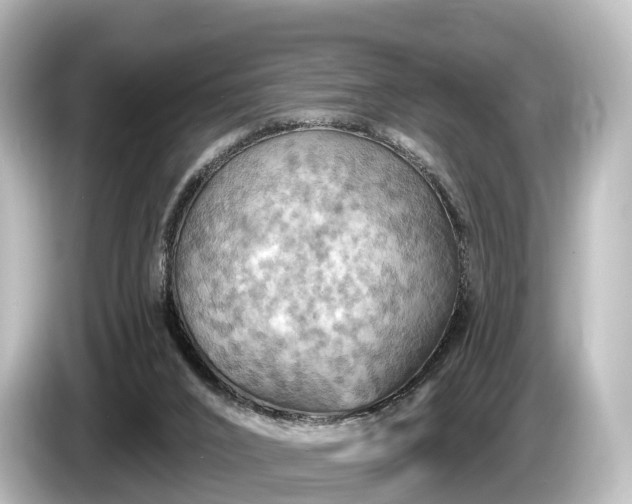 X0000085300016200703161442