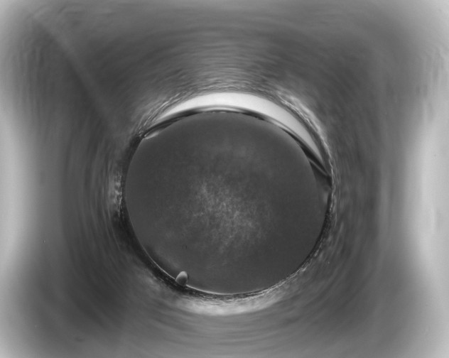 X0000085300017200703161442