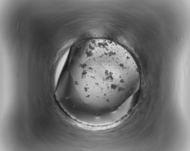 X0000085300019200703161442