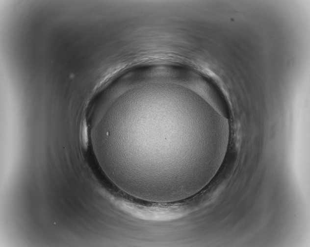 X0000085300020200703161442