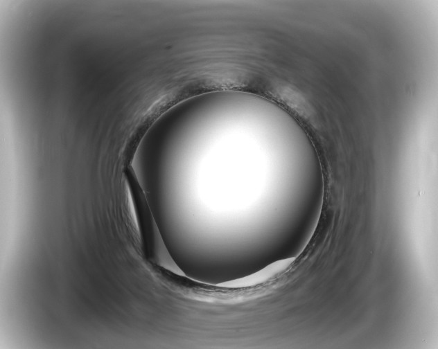 X0000085300021200703161442