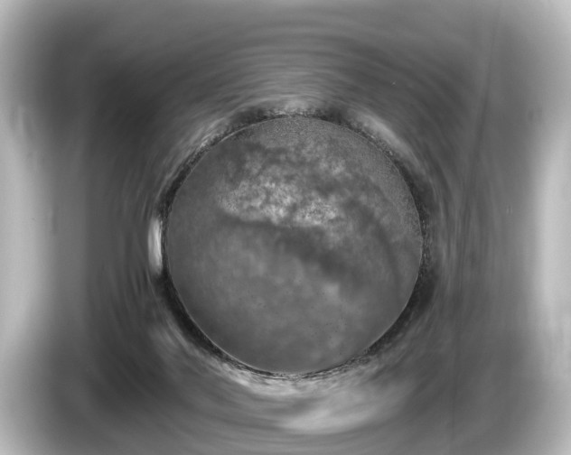 X0000085300022200703161442