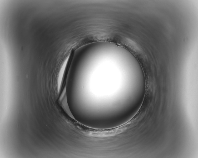 X0000085300025200703161442