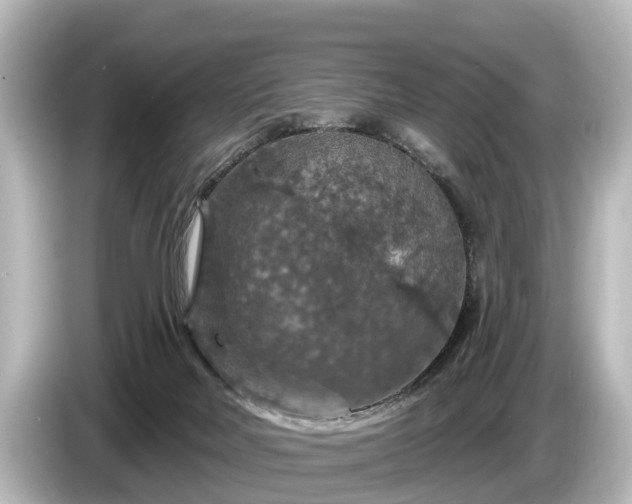 X0000085300026200703161442