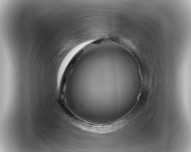 X0000085300027200703161442