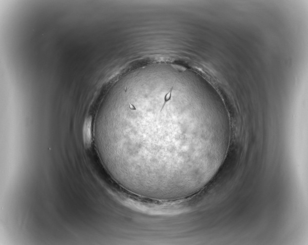 X0000085300028200703161442