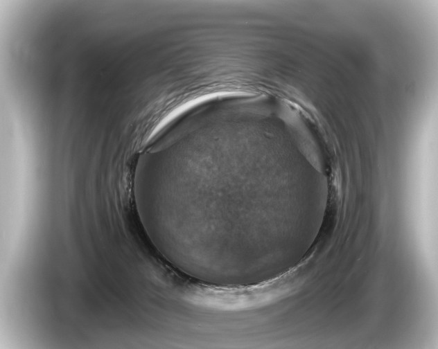 X0000085300029200703161442