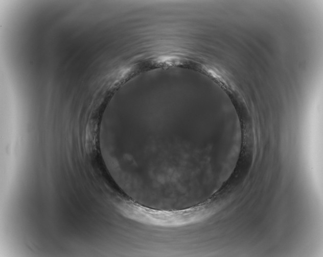 X0000085300030200703161442