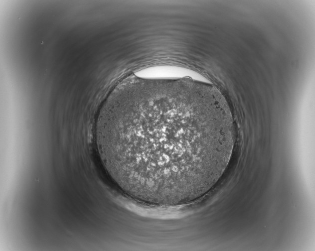 X0000085300032200703161442