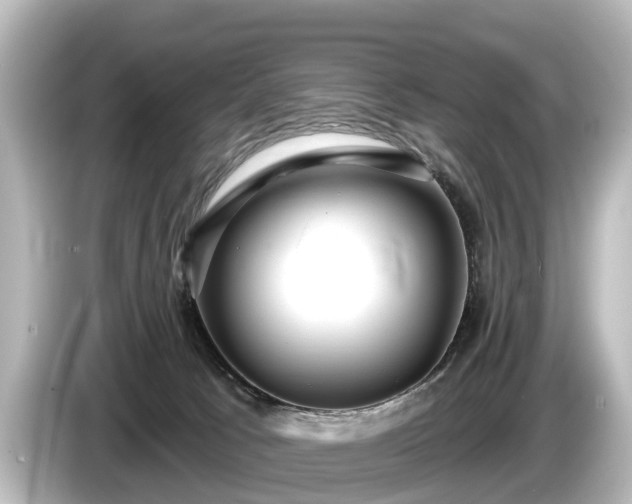 X0000085300033200703161442