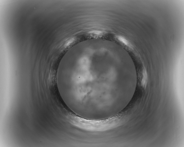 X0000085300034200703161442