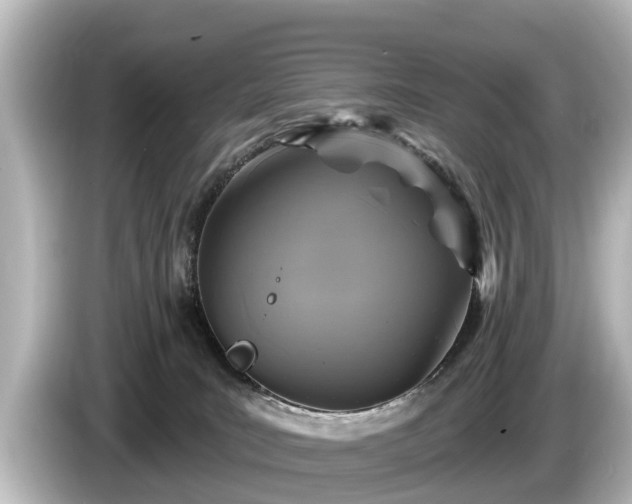 X0000085300035200703161442