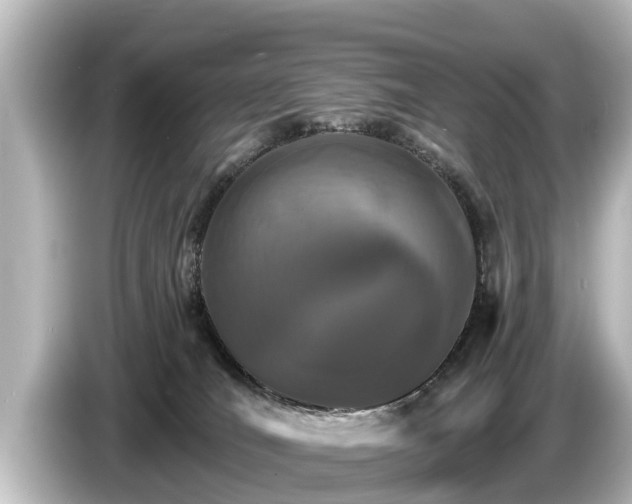 X0000085300036200703161442