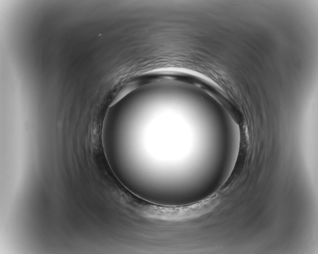 X0000085300037200703161442