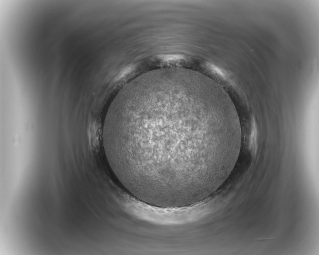 X0000085300038200703161442