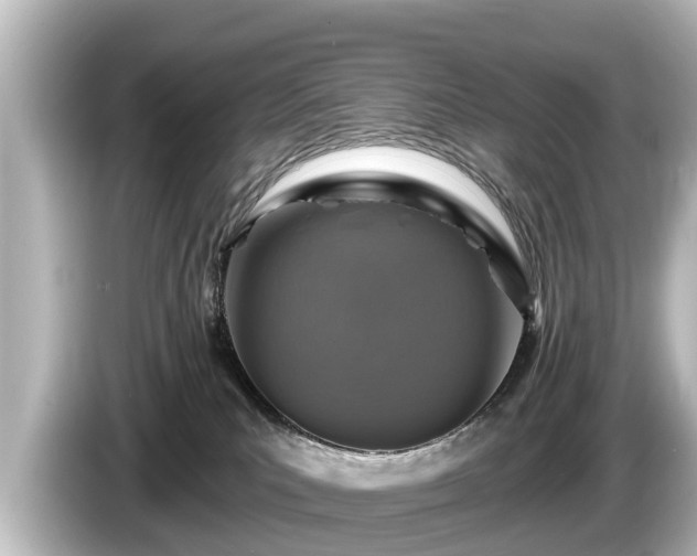 X0000085300039200703161442