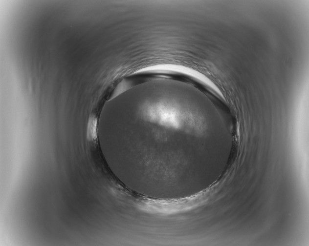 X0000085300041200703161442