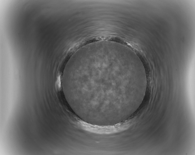 X0000085300042200703161442