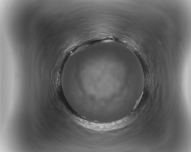 X0000085300043200703161442