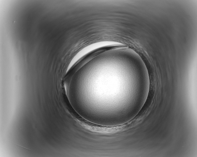 X0000085300044200703161442