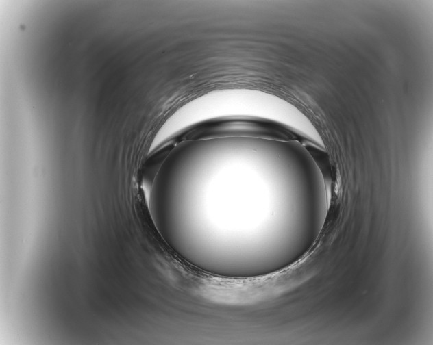 X0000085300045200703161442