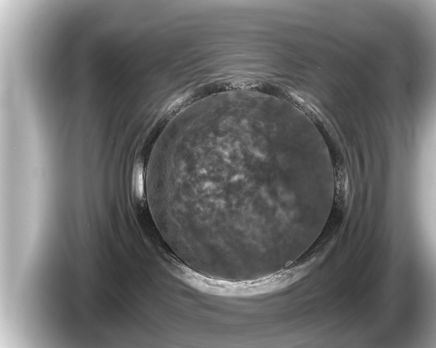 X0000085300046200703161442