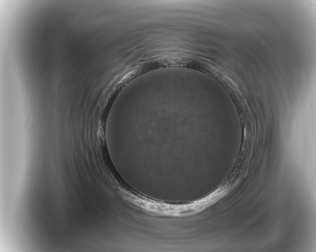 X0000085300048200703161442