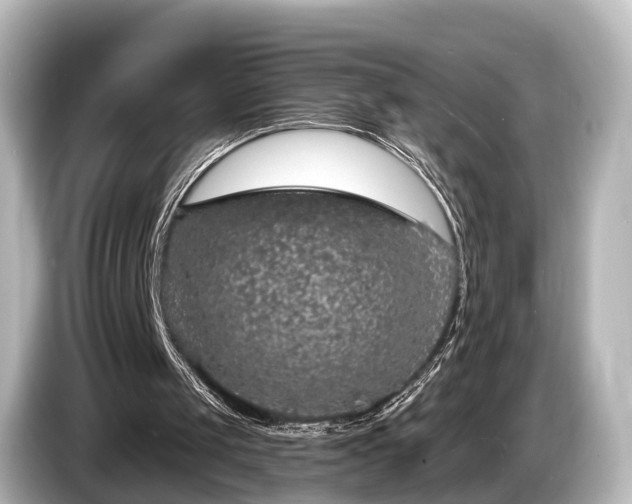 X0000085300049200703161441