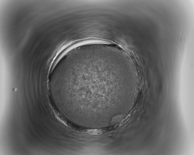 X0000085300050200703161441