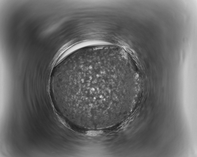 X0000085300051200703161441