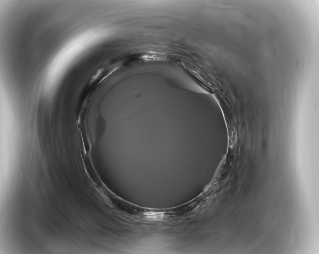 X0000085300052200703161441