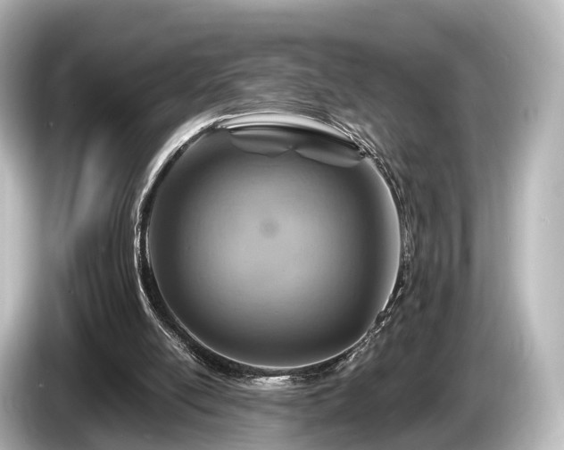 X0000085300054200703161441