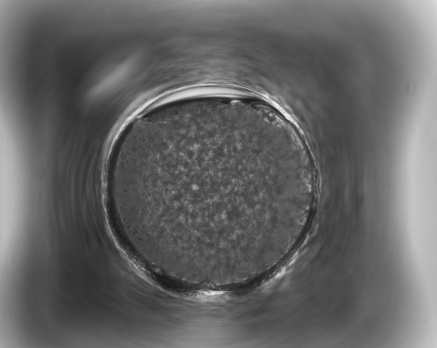 X0000085300055200703161441