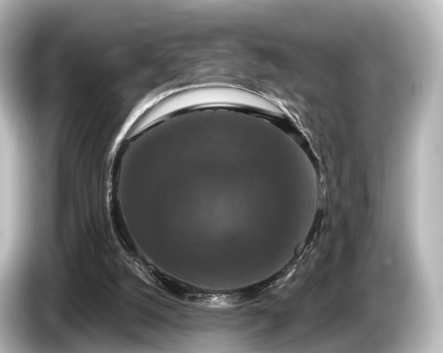 X0000085300056200703161441