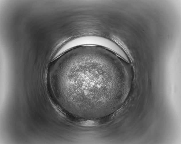 X0000085300058200703161441