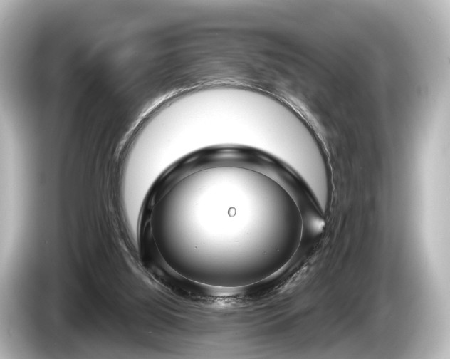 X0000085300060200703161441