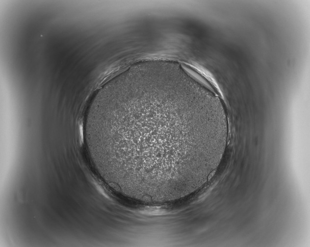 X0000085300061200703161441