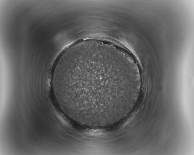 X0000085300063200703161441