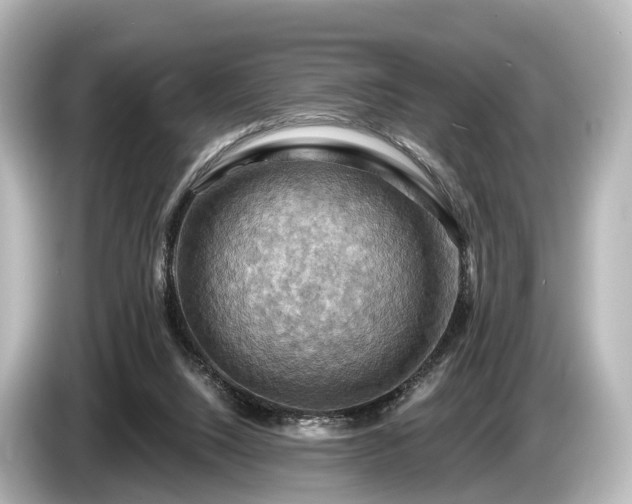 X0000085300064200703161441