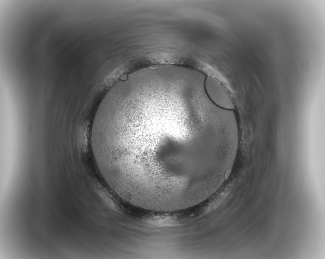 X0000085300065200703161441