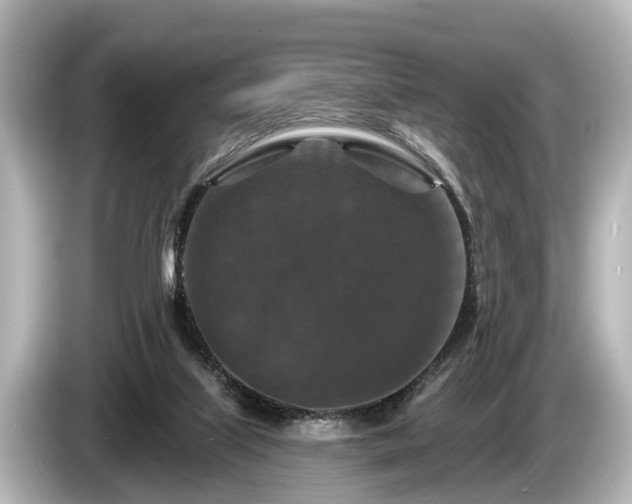 X0000085300067200703161441