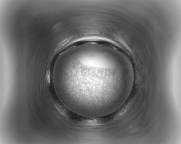 X0000085300068200703161441