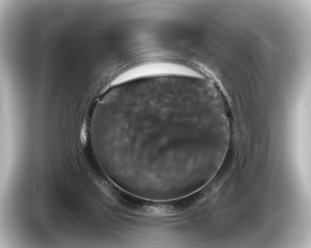 X0000085300069200703161441