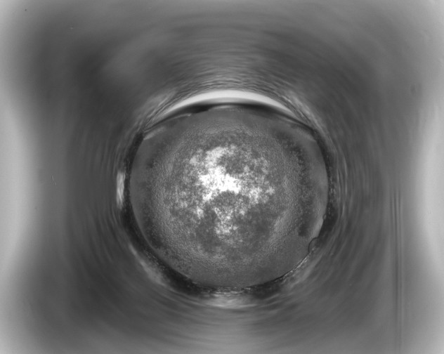 X0000085300070200703161441