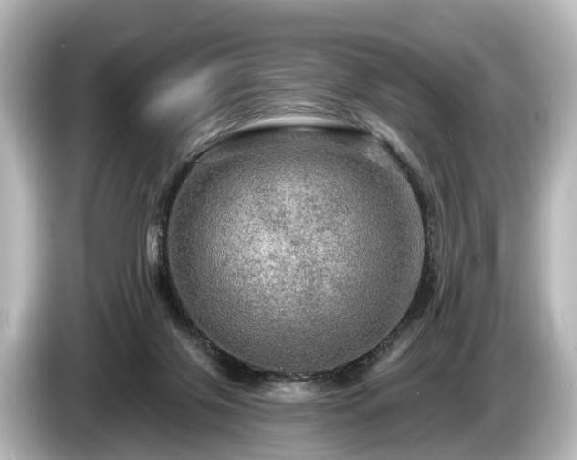 X0000085300071200703161441