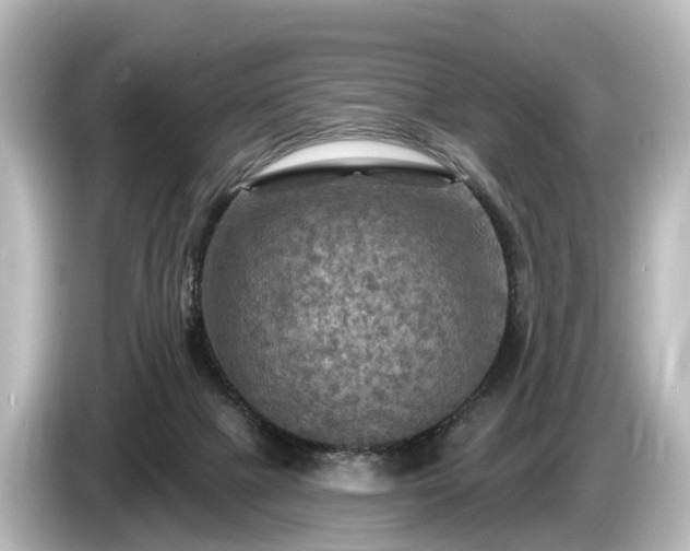 X0000085300073200703161441