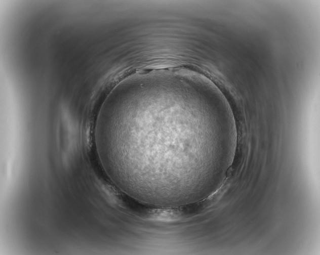 X0000085300074200703161441