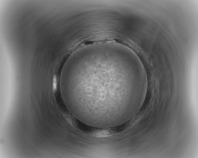 X0000085300075200703161441