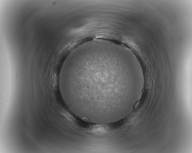 X0000085300077200703161441