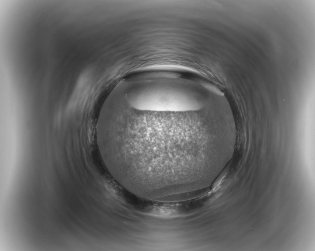 X0000085300078200703161441